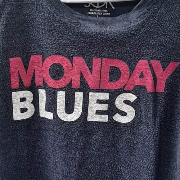 Chaser Monday Blues Fuzzy Crewneck Sweater Large - Picture 7 of 8